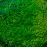 Dupla kör fülbevaló - választható színekkel